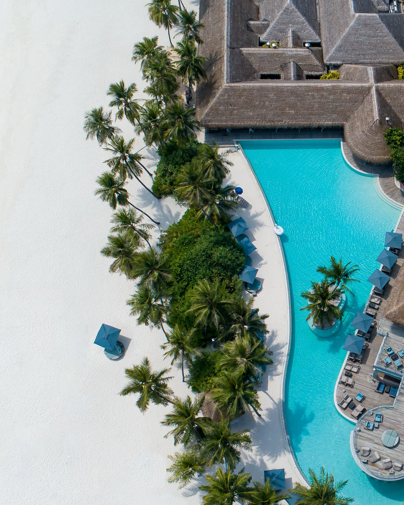 Aerial view of a resort pool among palms on white sand